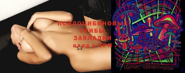 а пвп мука Новозыбков