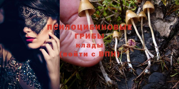 метадон Армянск