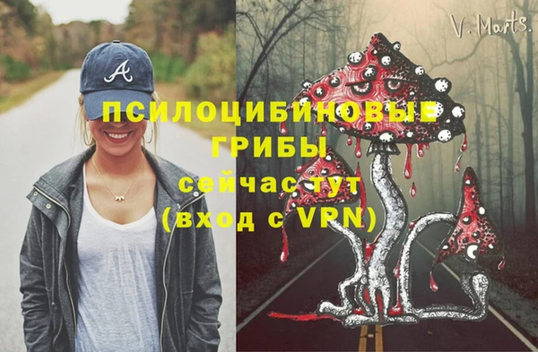 метадон Армянск